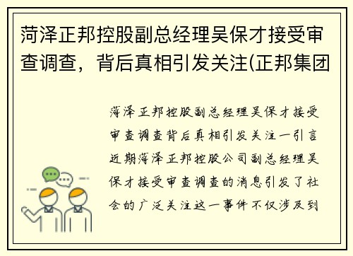菏泽正邦控股副总经理吴保才接受审查调查，背后真相引发关注(正邦集团总经理吴志军)